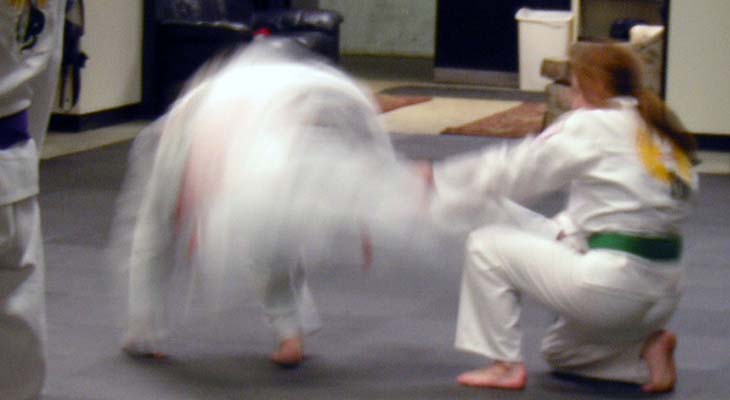 Budo Martial Arts Karate Throw