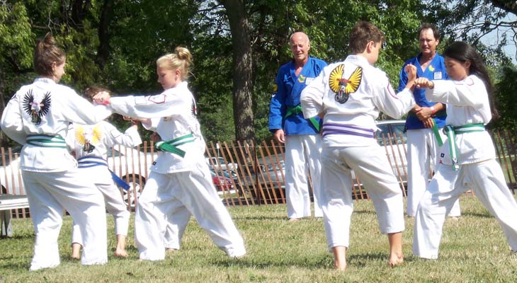 Budo Martial Arts Kids Karate-do